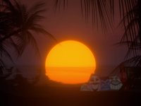 setpiece%20-%20Liminal%20Tropic.mp4